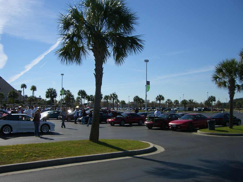 Parking lot scene with many cars and palm trees under a blue sky