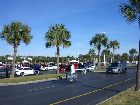 1996 Ford Probe - A gathering of vehicles under a bright blue sky, with several palm trees dotting the landscape.