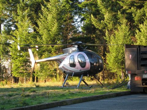 1996 Ford Probe - A helicopter with registration N580MB is parked on grass next to a truck.