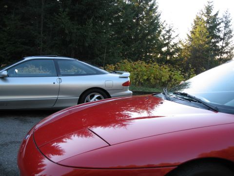 1996 Ford Probe - Two coupes are parked side-by-side with trees in the background.