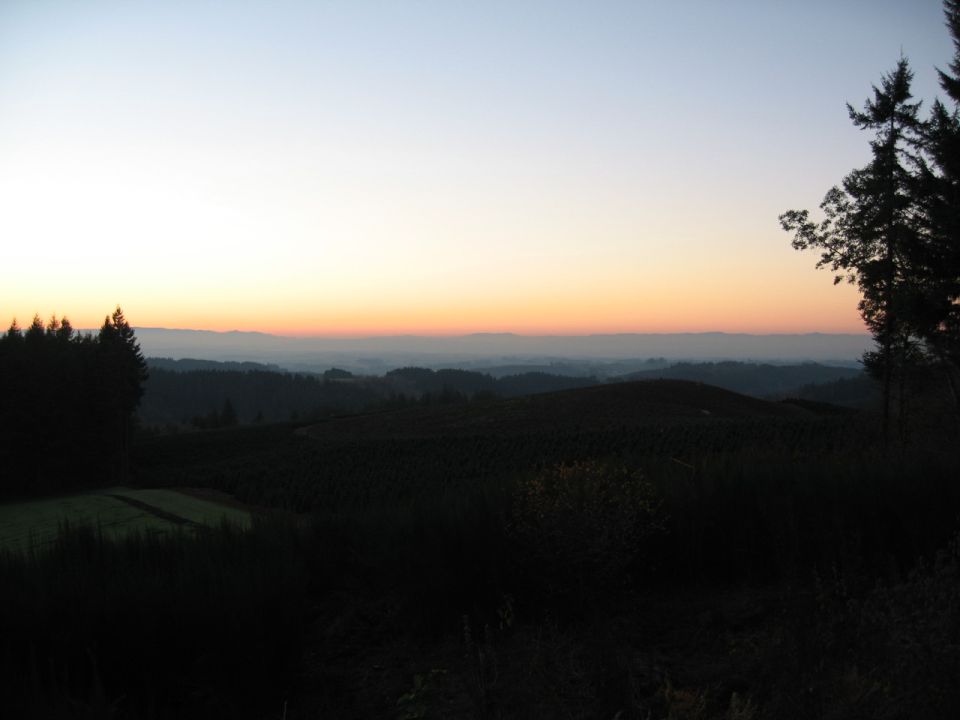 Hills and trees at sunset with a gradient sky