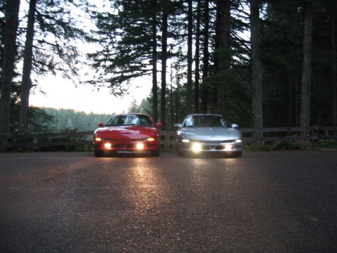 1996 Ford Probe - Two 1996 Ford Probes are parked on a wet asphalt surface with trees in the background.