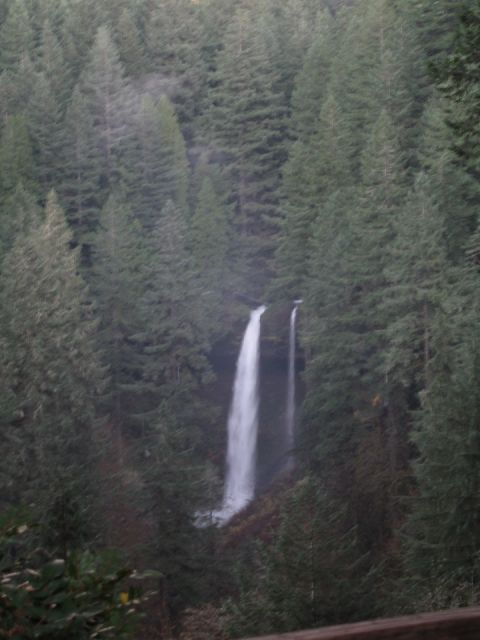 1996 Ford Probe - A tall waterfall plunges through a thick forest of pine trees.