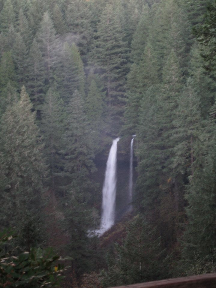 waterfall cascading down a cliff face surrounded by dense evergreen trees