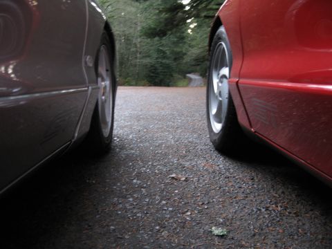 1996 Ford Probe - A low-angle shot captures the side profiles of two cars parked on a gravel road, with trees in the background.