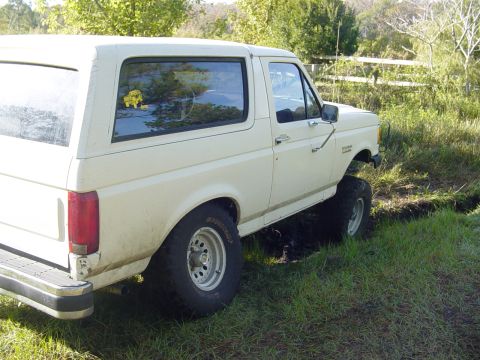 1989 Ford Bronco - This 1987 Ford Bronco is shown navigating a grassy, muddy area with trees in the background.