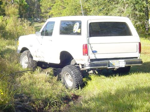 1989 Ford Bronco - This 1989 Ford Bronco is seen from the rear 3/4 angle in a grassy outdoor setting.