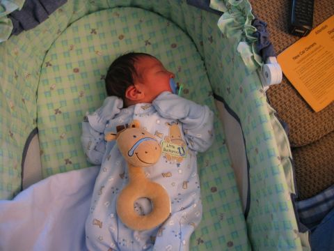 2002 Ford Taurus - A newborn baby rests in a bassinet, accompanied by a giraffe-themed toy.