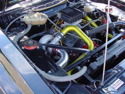 1981 Ford Mustang - A close-up view of a car's engine bay, highlighting various components and hoses.