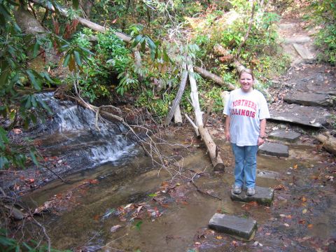 1985 Ford LTD Crown Victoria - A woman pauses near a small waterfall, standing on stepping stones along a wooded path.