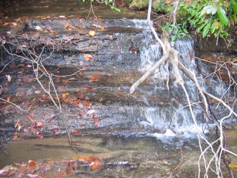 1985 Ford LTD Crown Victoria - A small waterfall flows over layered rocks in a stream, surrounded by fallen leaves and branches.