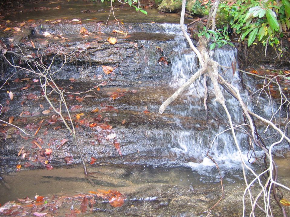 waterfall cascading over layered rocks with fallen leaves and branches