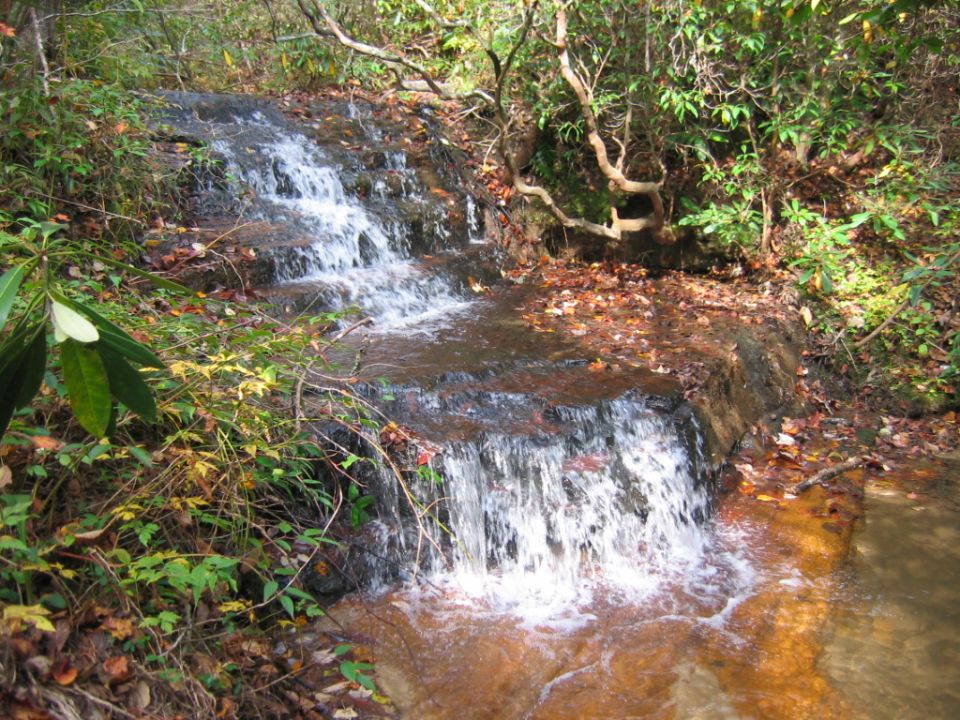 Waterfall cascading over rocks with fallen leaves and green foliage