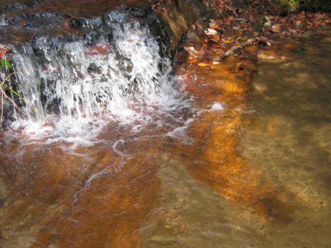 1985 Ford LTD Crown Victoria - A small waterfall cascades over rocks, with the water stained orange by minerals and surrounded by autumn leaves.