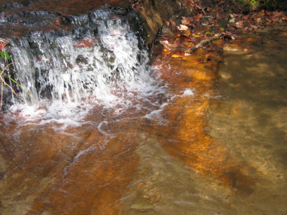 Waterfall with orange-tinted water and fallen leaves