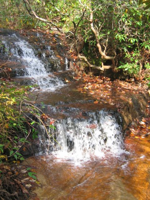 1985 Ford LTD Crown Victoria - A small waterfall flows over rocks in a wooded area during autumn, with fallen leaves scattered around.