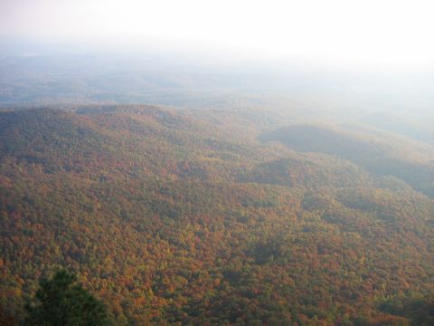 1985 Ford LTD Crown Victoria - A hazy view of rolling hills covered in trees displaying autumn colors.
