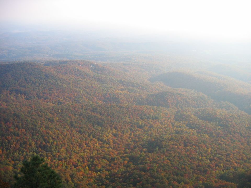 Misty mountain landscape with autumn foliage