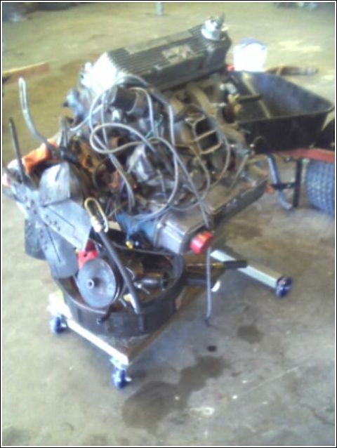 1980 Ford Bronco - Engine assembly sits on a mobile stand, ready for installation or repair.