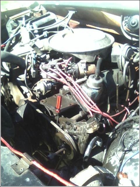 1980 Ford Bronco - The engine bay shows a complex arrangement of hoses, wires, and mechanical parts.