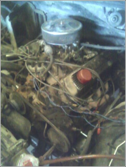 1980 Ford Bronco - Dirty, leaf-littered V8 engine sitting in an open engine bay, with a round chrome air cleaner over the carburetor and a red-capped oil fill…