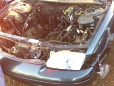 1996 Ford Probe - The engine bay and front headlight assembly of a dark green vehicle are visible, with the hood open.