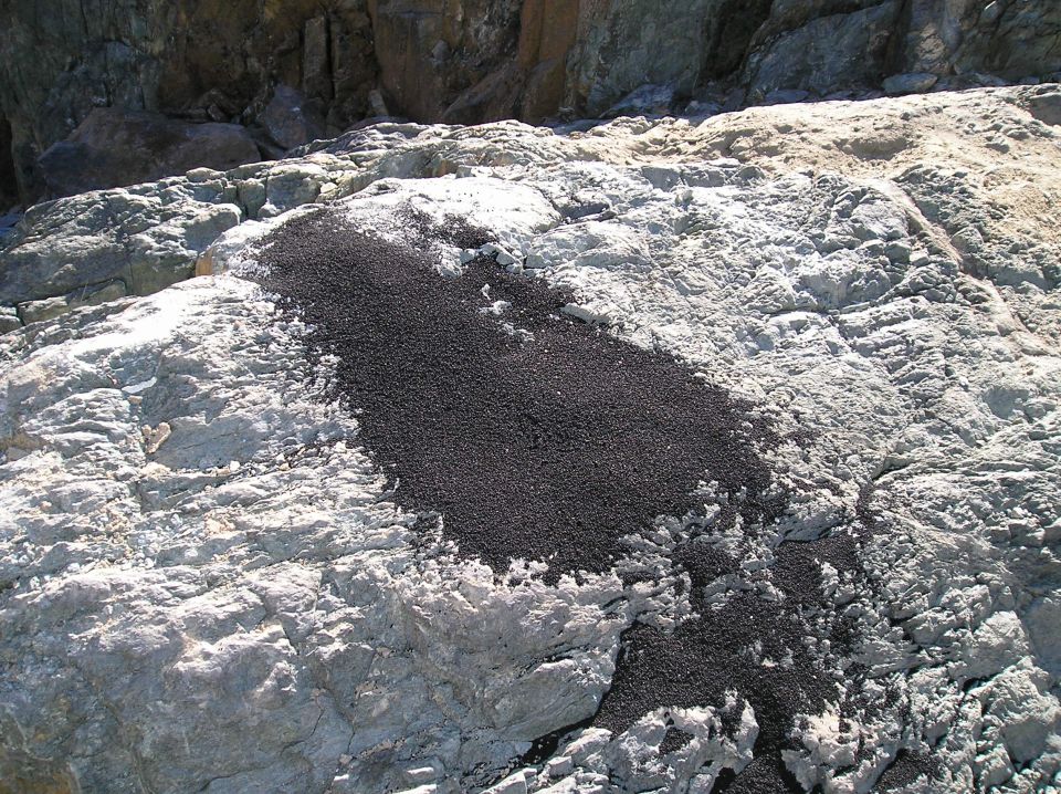 Pile of black granular material on a textured, light-colored rock formation with darker rocks in the background. Watermark reads SUPER MOTORS