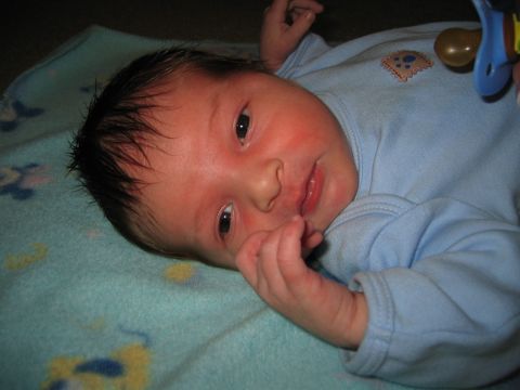 2002 Ford Taurus - A close-up of a newborn baby resting on a patterned blanket, with a pacifier visible.