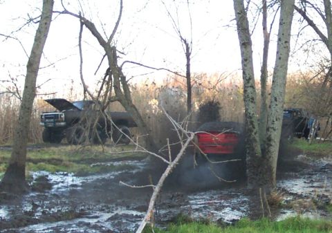 1978 Ford Bronco - Multiple trucks are stuck in the mud, with one Bronco having its hood open.