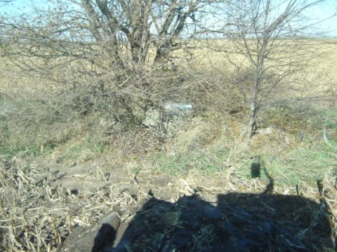 1992 Ford Bronco - A vehicle is barely visible through dense brush and dry vegetation in an outdoor scene.