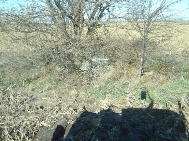 Partially obscured vehicle in brushy field