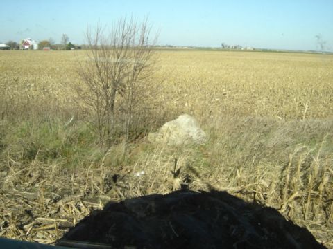 1992 Ford Bronco - A rural landscape features a cornfield and farm buildings under a clear sky, with a large tire obscuring the foreground.