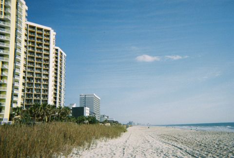 1991 Ford Probe - Beach scene with tall buildings and the ocean under a clear blue sky.