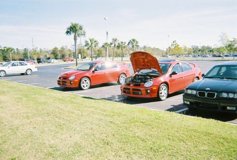 1991 Ford Probe - Two red Dodge Neon SRT-4s and a black BMW are parked in a lot under a clear sky.