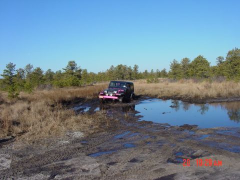 1995 Dodge 1500 - A purple Jeep Wrangler with pink accents navigates a muddy obstacle course in a natural setting.