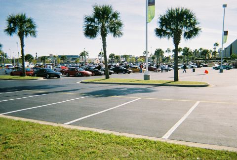 1991 Ford Probe - A wide view of a parking lot filled with vehicles, bordered by grass and palm trees under a clear sky.