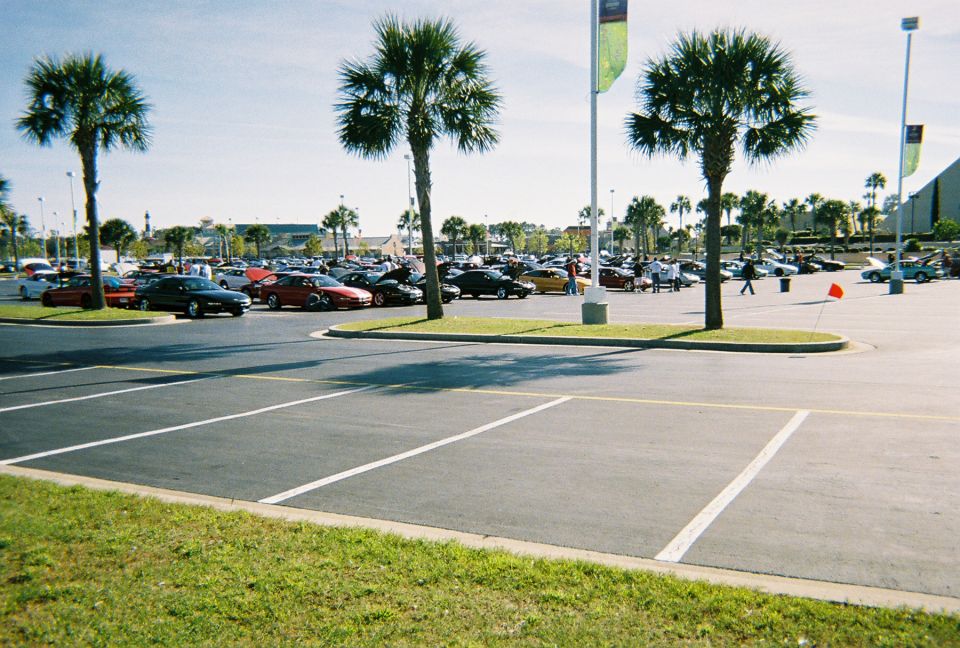 Parking lot scene with many cars under palm trees, sunny day