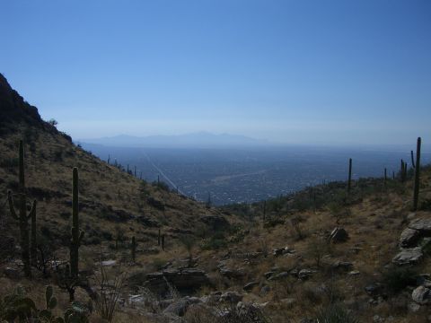 1996 Ford Probe - A wide view of a desert landscape with cacti in the foreground and a city in the distance.