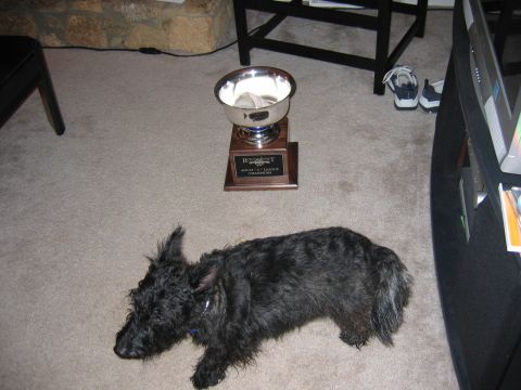 1985 Ford LTD Crown Victoria - A trophy sits on a wooden base on a carpeted floor, with a black dog lying nearby.