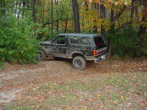 1988 Ford Bronco - A dirty black Ford Bronco navigates a wooded trail during autumn.