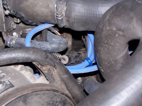 1986 Ford Bronco - This image shows various hoses and electrical connectors within an engine compartment, not a specific vehicle model year.
