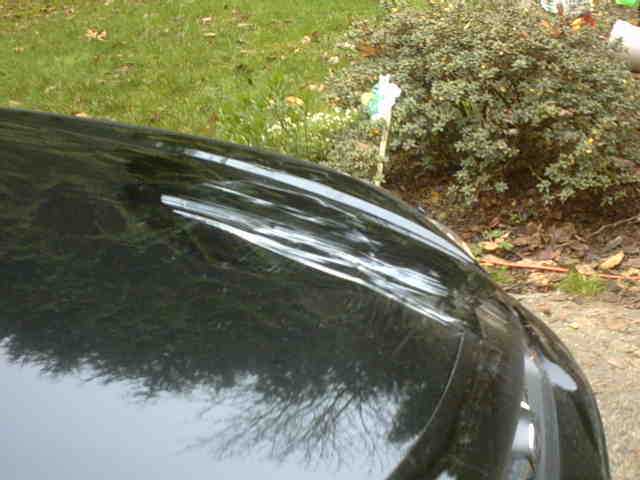 Close-up of a glossy black vehicle body panel reflecting trees and sky