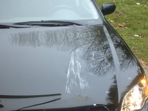 1995 Ford Bronco - Scratches are visible on the hood of a dark-colored car, reflecting the surrounding trees.
