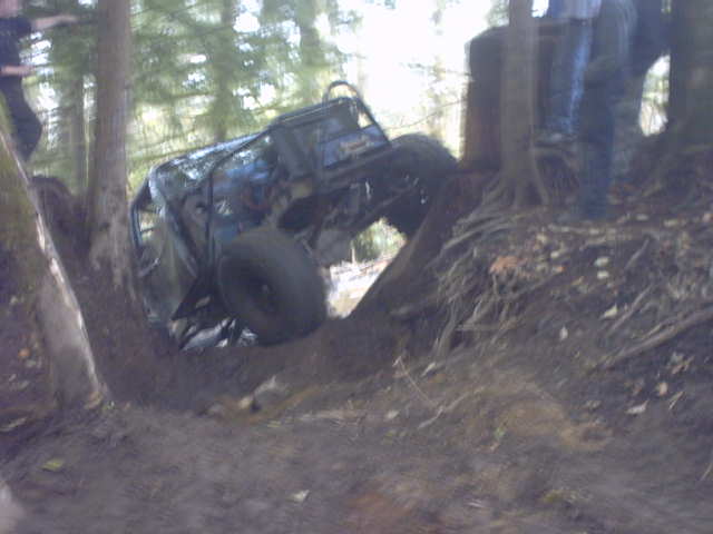 Stripped caged trail buggy nose-down in a dirt ditch in the woods