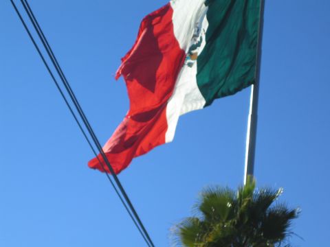 1990 Ford Bronco - large Mexican flag waves in the wind against a deep blue sky, above a palm frond and crossing power lines.