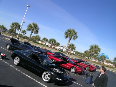 1993 Ford Probe - A lineup of Ford Probes, some with hoods open, parked under a clear blue sky with palm trees.