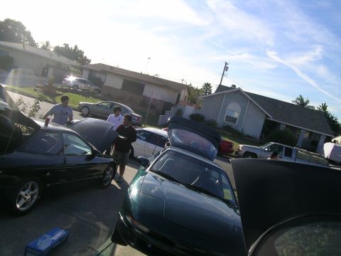1993 Ford Probe - Several people are gathered around cars with their hoods open on a sunny day.