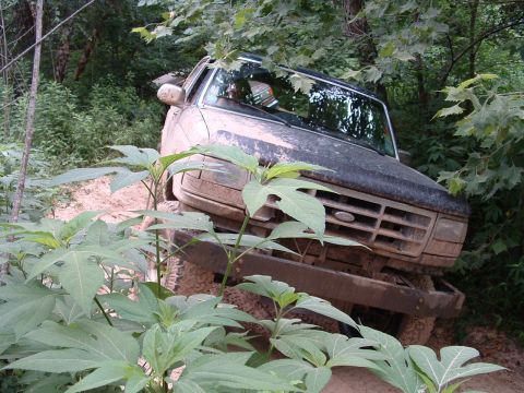 1993 Ford Bronco - This 1993 Ford Bronco is navigating a muddy, wooded trail.