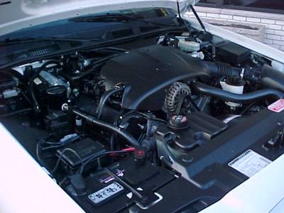 1998 Ford Crown Victoria photo