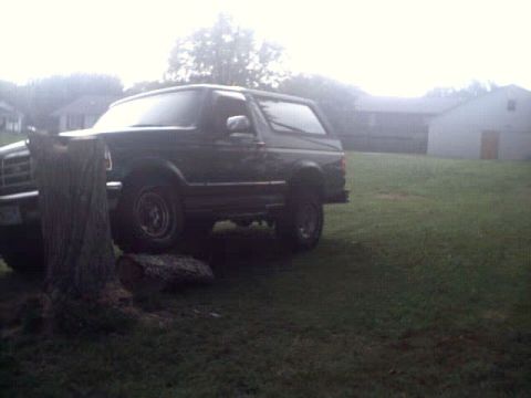 1996 Ford Bronco - This 1996 Ford Bronco is seen from a 3/4 front angle, parked on a grassy area next to a tree.